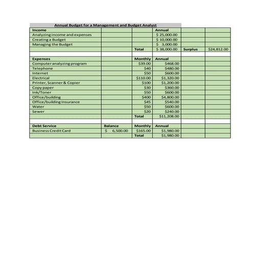 Annual Budget for a Management and Budget Analyst 12.31.15