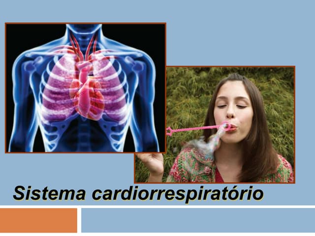 o sistema respiratório