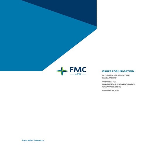 Issues for Litigation Bankruptcy and Insolvency Issues