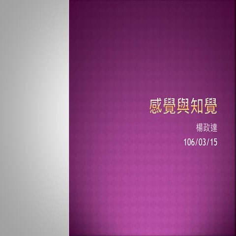 0315感覺與知覺