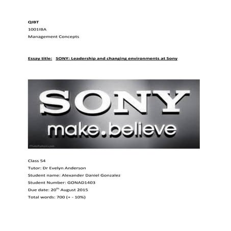 sony_report.docx
