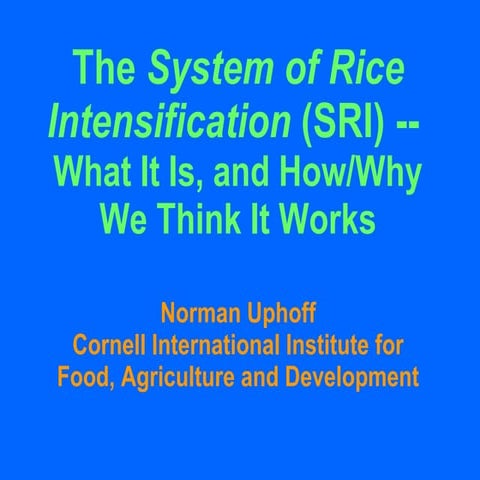0321 The System of Rice Intensification (SRI) : What It Is, and How/Why We Th...