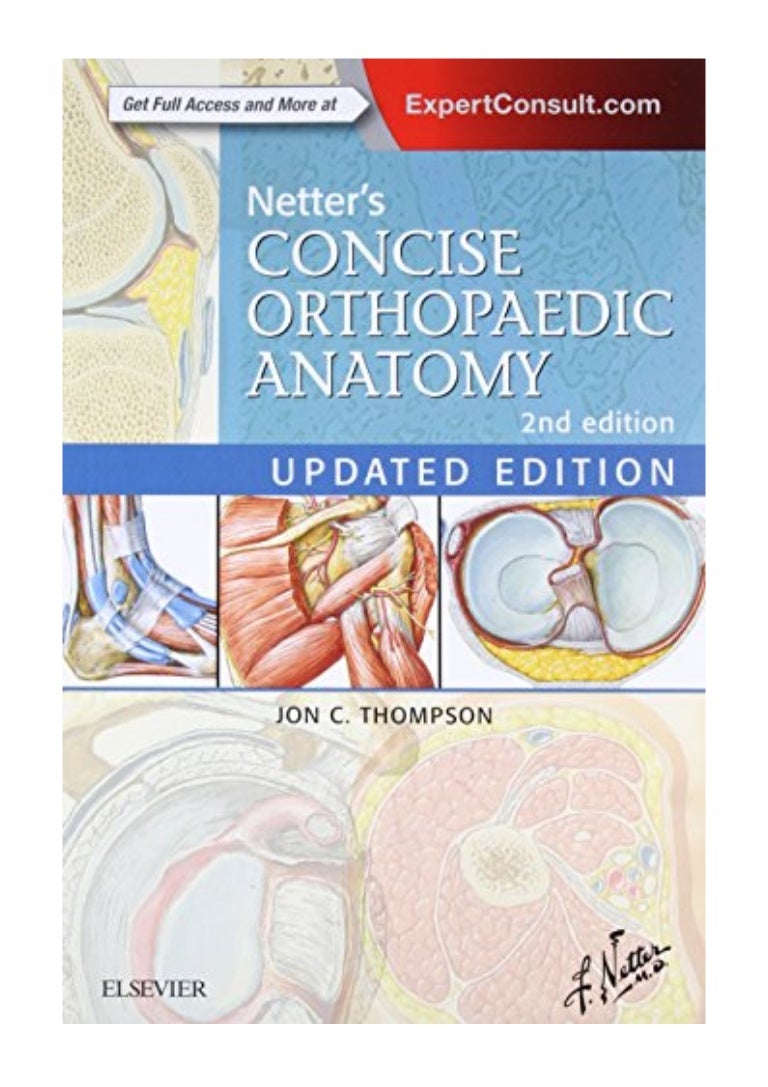 20+ netter&#039;s anatomy coloring book updated edition netter basic science Best netter&#039;s anatomy coloring book