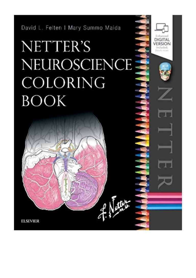 Download Netter S Neuroscience Coloring Book Pdf David L Felten Md Phd