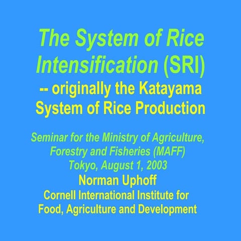 0327 The System of Rice Intensification (SRI)