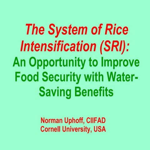 0328 The System of Rice Intensification (SRI):  An Opportunity to Improve Foo...