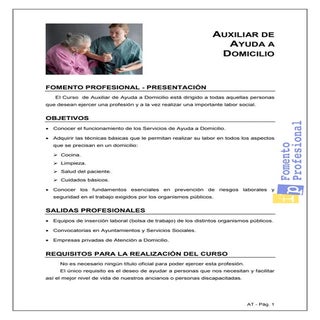 Auxiliar de Ayuda a Domicilio