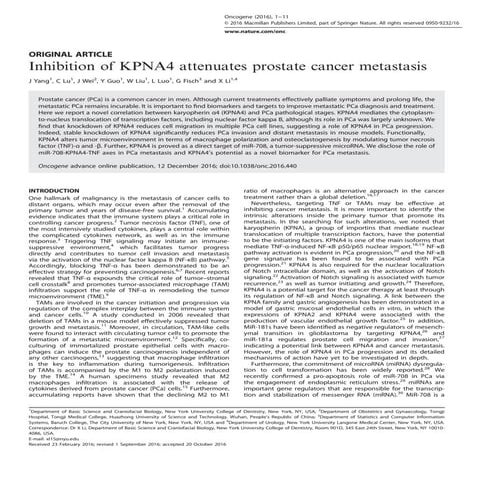 Inhibition of KPNA4 Attenuates Prostate Cancer Metastasis