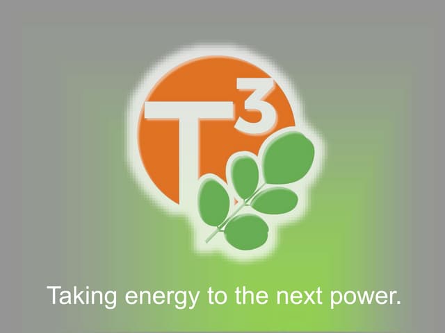Final T^3 presentation