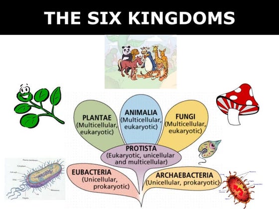 The six kingdoms | PPTX