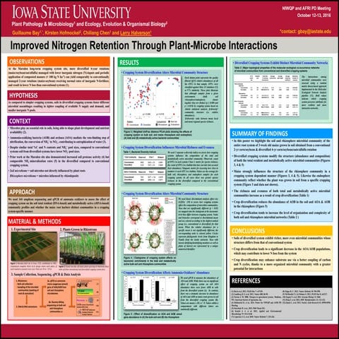 Improved N Retention Through Plant-Microbe Interactions