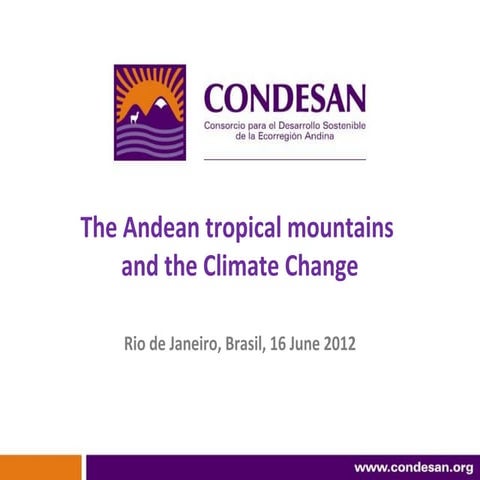 The Andean tropical mountains