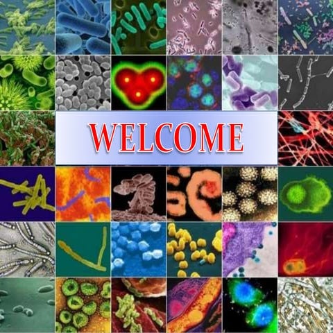 Microbes in biological control,Fermentation and enzyme technology