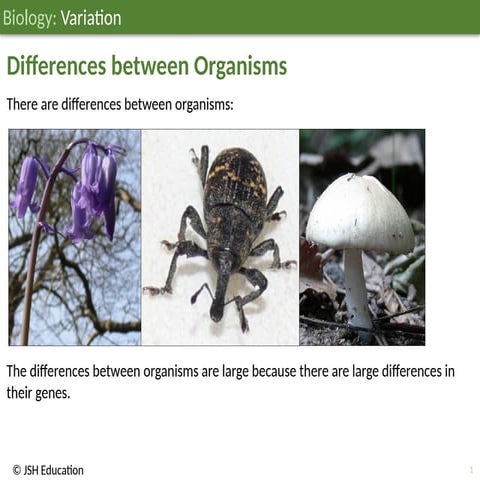 JSH03B055 Variation; Biology Education ages 11-14