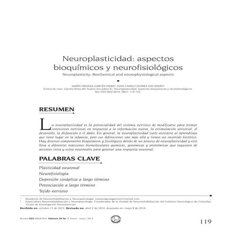 03b_Neuroplasticidad - Aspectos bioquímicos y neurofisiológicos. Garcés-Vieir...