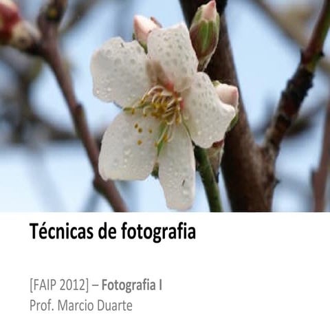 Técnicas fotográficas
