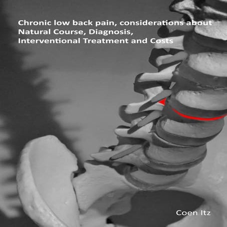 E-book Dissertatie Coen Itz