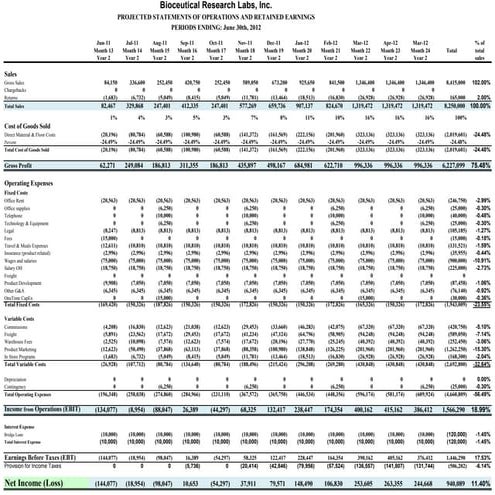 03c Bri   3 Year Monthly Forcasts Y2