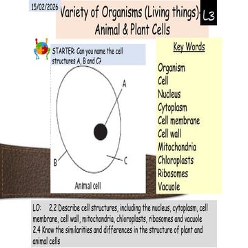 03 Cell Structure and Variety of Organisms.pptx