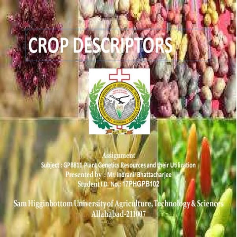 03 crop descriptors