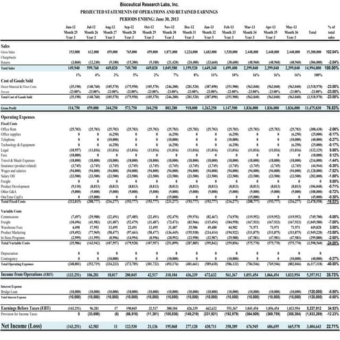 03d Bri   3 Year Monthly Forcasts Y3