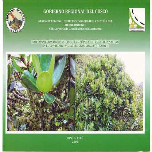 03 FORESTALES NATIVOS CVIS