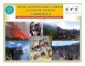 thumbnail of  Forest fire management in Ethiopia, experiences and challenges