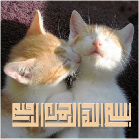 Fracture of Lower Limb and Pelvis