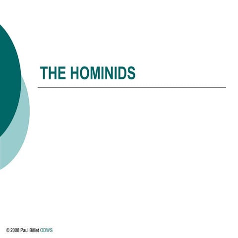 03 hominids