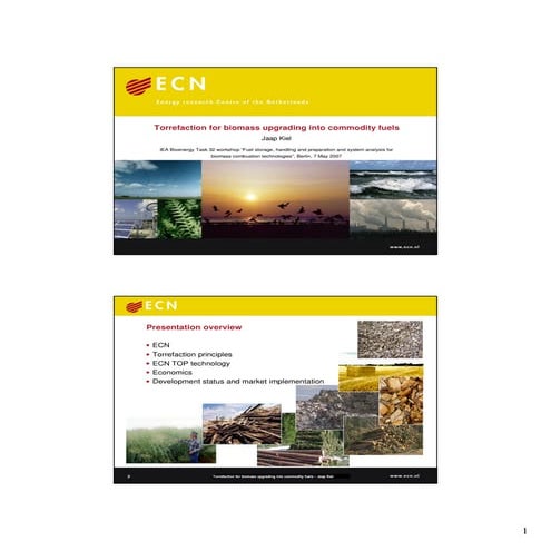 Torrefaction technology by ECN