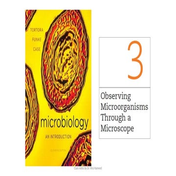 03L MICROSCOPY.pptx  03L MICROSCOPY.pptx