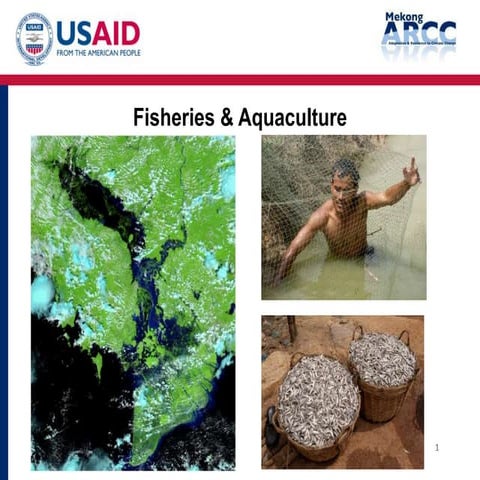 Climate Change Impact and Vulnerability Assessment for Fisheries and Aquacult...