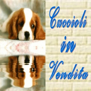 03 nella vita poco importa chi siete