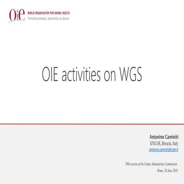 OIE Activities on WGS