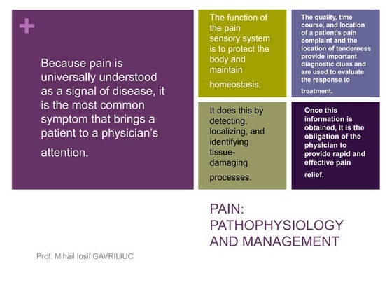 Pain Gate theory.pptx | Brain and Nervous System Disorders | Diseases ...