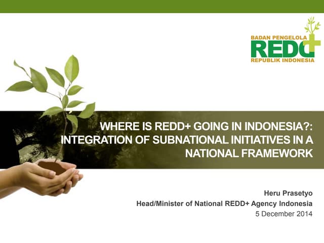 thumbnail of  Where is REDD+ going in Indonesia?