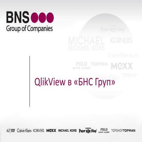 QlikView в "БНС Груп"