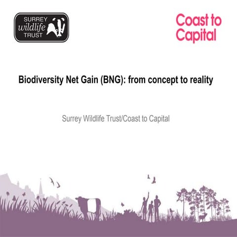 Biodiversity Net Gain (BNG): from concept to reality