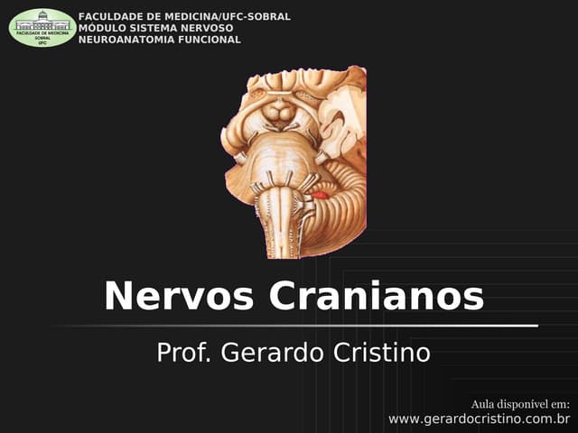 03 t2 nervos cranianos