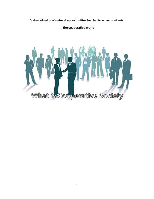 Value added professional opportunities for chartered accountants