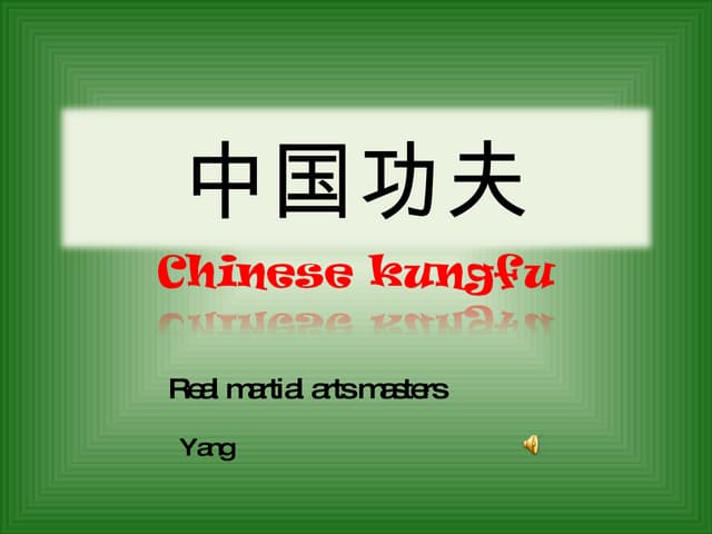 中国功夫03z