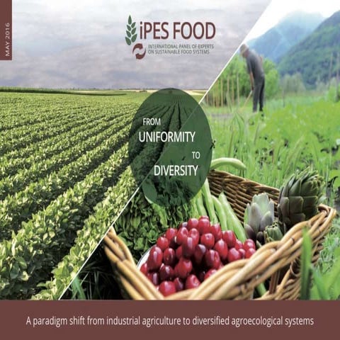 From uniformity to diversity - Emile Frison (IPES food)