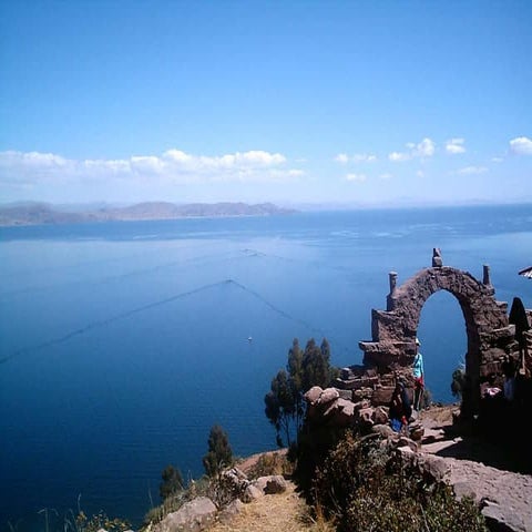 Mújica Sanchez Ángel. 2010. Potencialidades y perspectivas de la Quinua en los países andinos. III Congreso Mundial de la Quinua. Oruro, Bolivia