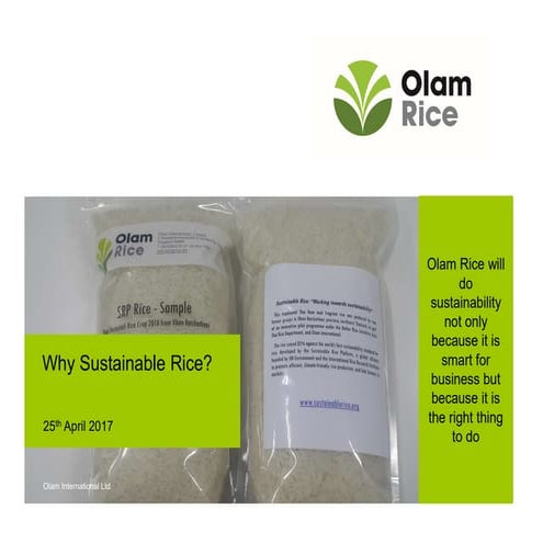 Olam international: Why Sustainable Rice? | PPT | Free Download