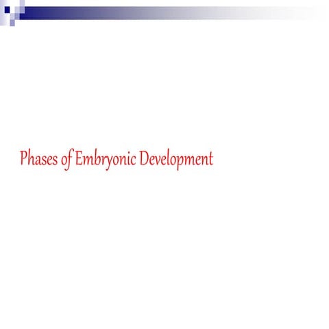 04.PhasesofEmbryonicdevelopment.ppt