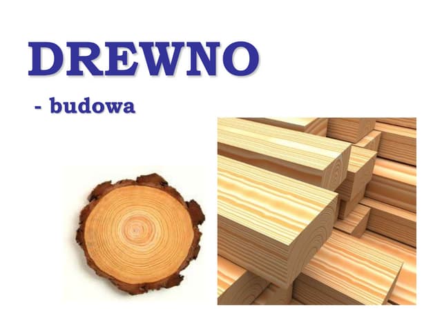 04 budowa drewna | PPT