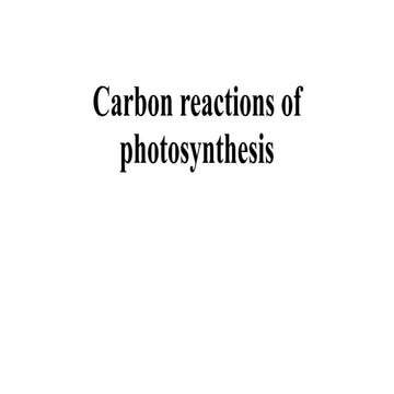 04-Carbon reactions of photosynthesisb.pptx