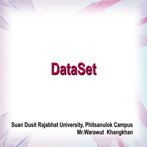 DataSet | PPT