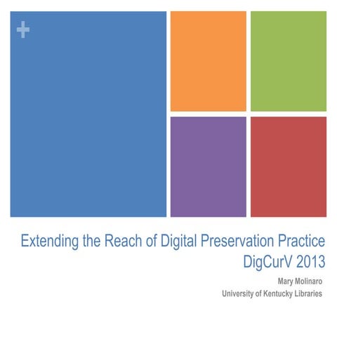 Extending the Reach of Digital Preservation Practice