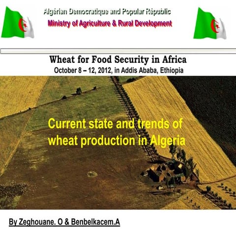 Current state and trends of wheat production in Algeria